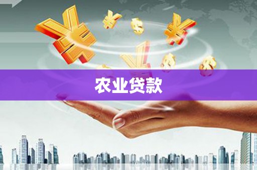 水上农业贷款