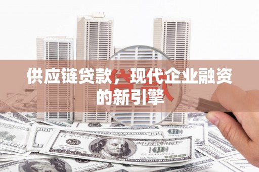 水上供应链贷款，现代企业融资的新引擎