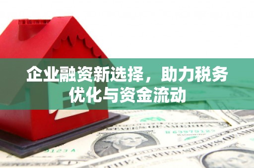 水上企业融资新选择，助力税务优化与资金流动