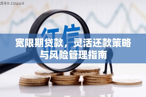 水上宽限期贷款，灵活还款策略与风险管理指南