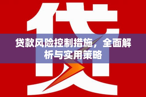 水上贷款风险控制措施，全面解析与实用策略