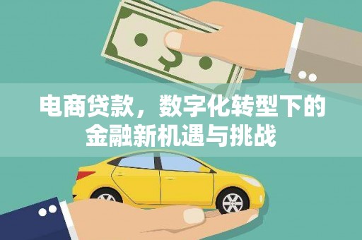 水上电商贷款，数字化转型下的金融新机遇与挑战