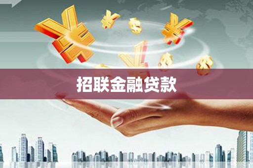 水上招联金融贷款