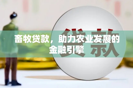 水上畜牧贷款，助力农业发展的金融引擎