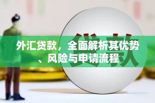 水上外汇贷款，全面解析其优势、风险与申请流程