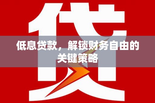 水上低息贷款，解锁财务自由的关键策略