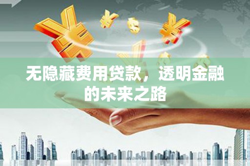 水上无隐藏费用贷款，透明金融的未来之路