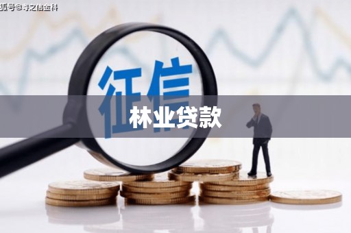 水上林业贷款