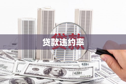 水上贷款违约率