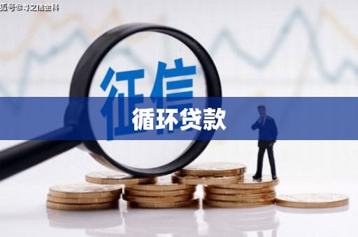 水上循环贷款