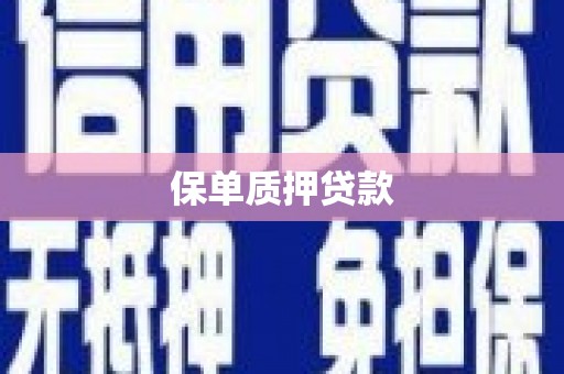 水上保单质押贷款