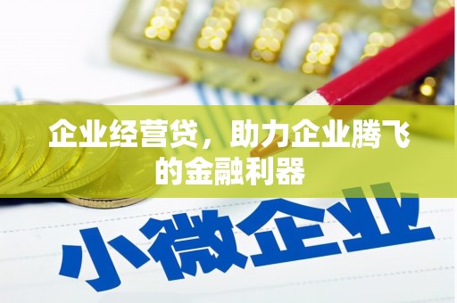 水上企业经营贷，助力企业腾飞的金融利器