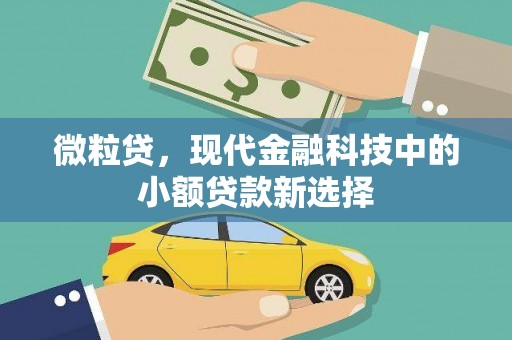 水上微粒贷，现代金融科技中的小额贷款新选择
