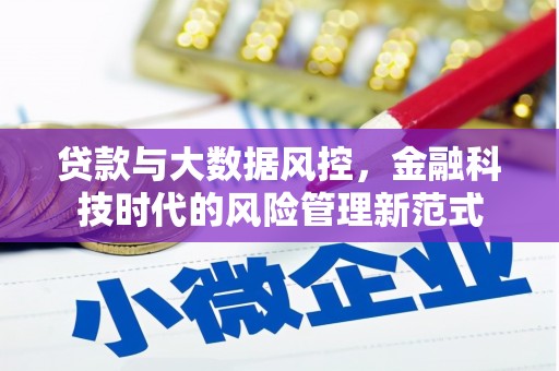 水上贷款与大数据风控，金融科技时代的风险管理新范式
