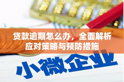 水上贷款逾期怎么办，全面解析应对策略与预防措施