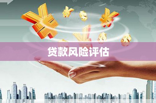 水上贷款风险评估