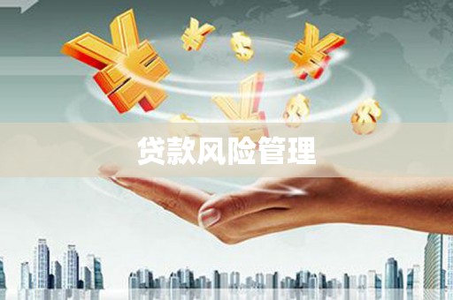 水上贷款风险管理