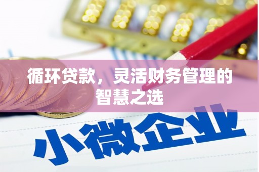 水上循环贷款，灵活财务管理的智慧之选
