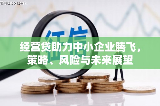 水上经营贷助力中小企业腾飞，策略、风险与未来展望