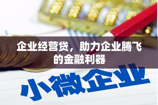水上企业经营贷，助力企业腾飞的金融利器
