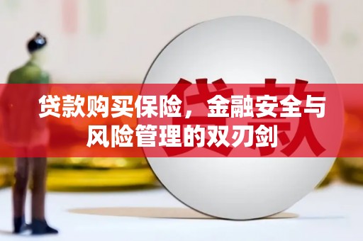 水上贷款购买保险，金融安全与风险管理的双刃剑