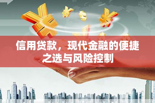 水上信用贷款，现代金融的便捷之选与风险控制
