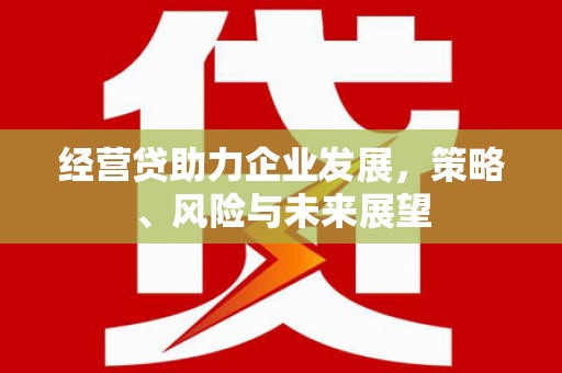 水上经营贷助力企业发展，策略、风险与未来展望