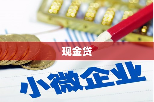 水上现金贷