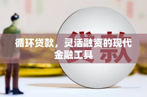 水上循环贷款，灵活融资的现代金融工具