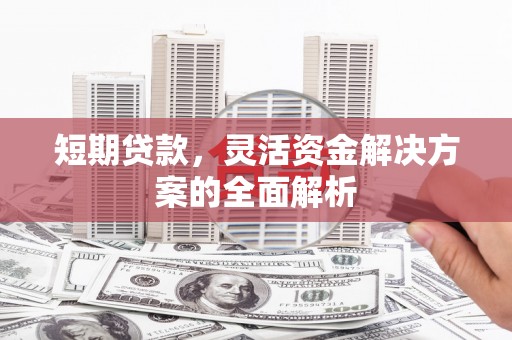 水上短期贷款，灵活资金解决方案的全面解析