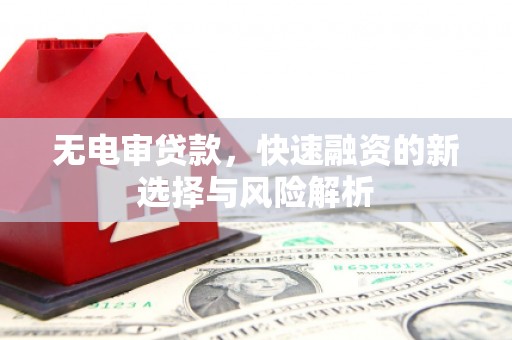 水上无电审贷款，快速融资的新选择与风险解析