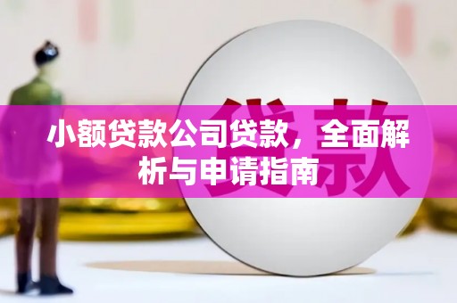 水上小额贷款公司贷款，全面解析与申请指南