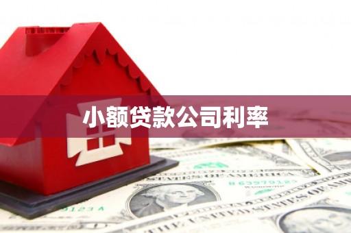 水上小额贷款公司利率