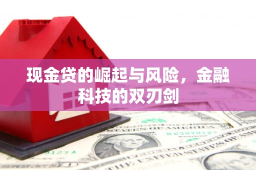 水上现金贷的崛起与风险，金融科技的双刃剑
