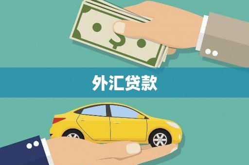 水上外汇贷款