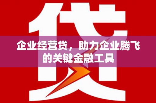 水上企业经营贷，助力企业腾飞的关键金融工具