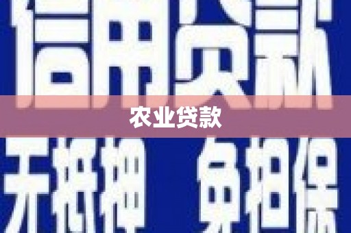 水上农业贷款