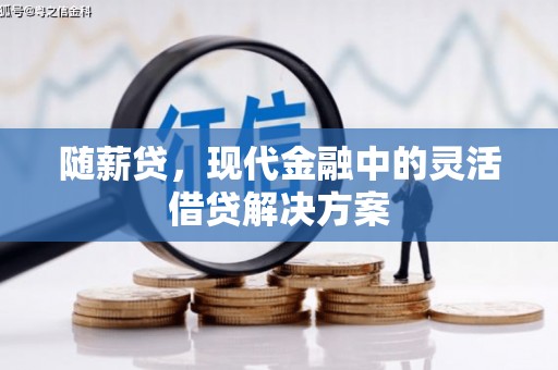 水上随薪贷，现代金融中的灵活借贷解决方案