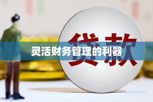 水上灵活财务管理的利器