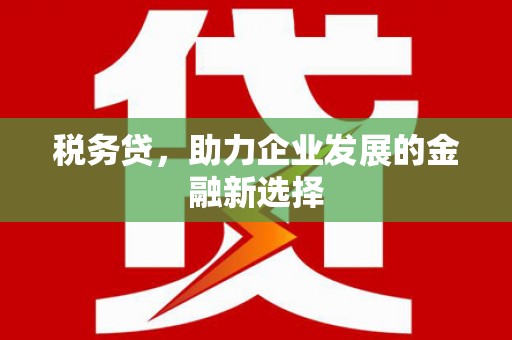 水上税务贷，助力企业发展的金融新选择