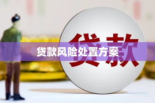 水上贷款风险处置方案