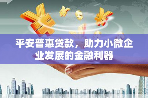 水上平安普惠贷款，助力小微企业发展的金融利器