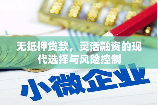 水上无抵押贷款，灵活融资的现代选择与风险控制