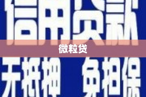 水上微粒贷