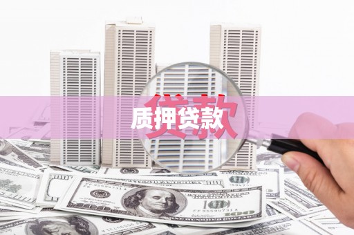 水上质押贷款