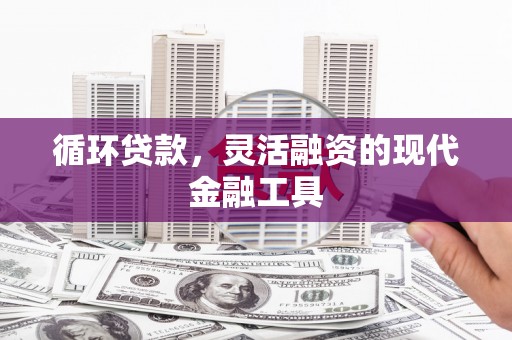 水上循环贷款，灵活融资的现代金融工具