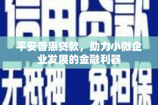 水上平安普惠贷款，助力小微企业发展的金融利器