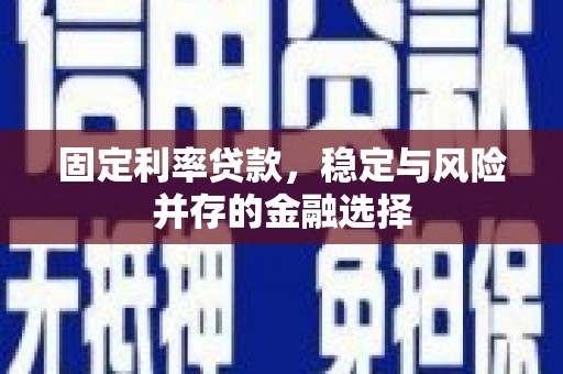 水上固定利率贷款，稳定与风险并存的金融选择
