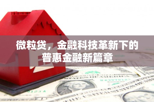水上微粒贷，金融科技革新下的普惠金融新篇章