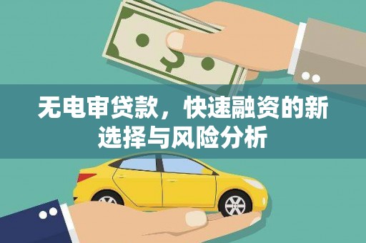 水上无电审贷款，快速融资的新选择与风险分析